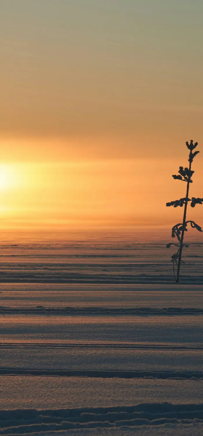 Solnedgång över frusen sjö i Luleå under vintern.