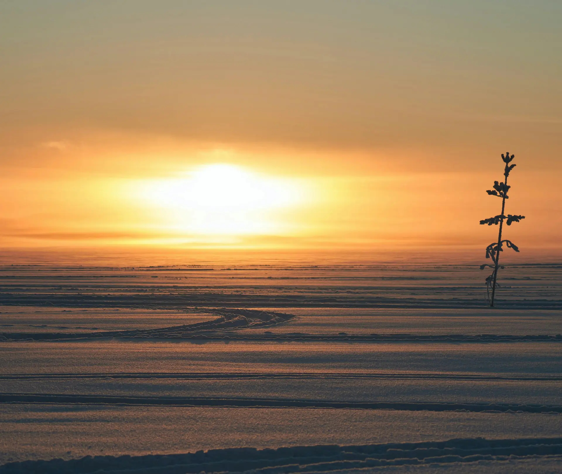 Solnedgång över snötäckt landskap i Luleå med spår i snön.